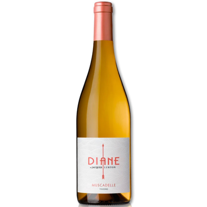 Diane - Muscadelle - Bordeaux - Blanc - 2020