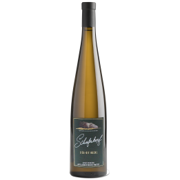 Schieferkopf - Riesling - Lieu-dit Buehl - 2021