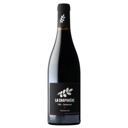 Côt-Cabernet - Touraine Rouge - Domaine de la Chapiniere - 2022