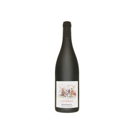 Bourgueil - Lamé Delisle Boucard - cuvée Déchainée - 2019